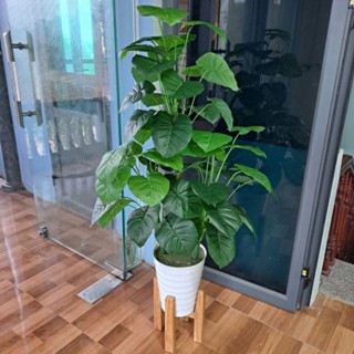 Cây giả, Cây trầu bà lá xanh, Cây giả cao cấp, Cây nhân tạo trang trí ( cây tặng kèm chậu )