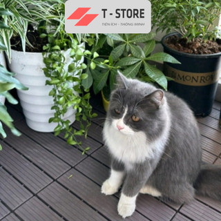 💥[XẢ KHO] Vỉ nhựa ghép lót sàn trang trí ban công Plus+, trải sàn bể bơi,sân vườn, nhà tắm