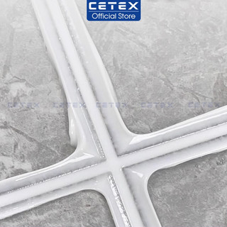 Keo chít mạch 2 thành phần CETEX (IB cho shop báo màu)