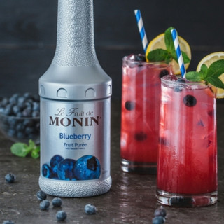 Mứt sệt Puree Monin đủ vị (1L)