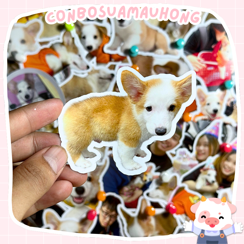 In Ảnh Bo Viền - Ảnh Cắt Viền Theo Yêu Cầu