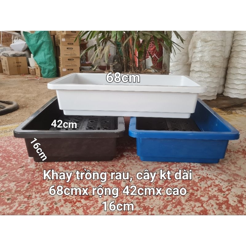  combo 10 cái chậu chữ nhật-  khay  trồng rau thông minh  kích thước 68x42x16m 