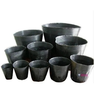 1kg Bầu ươm cây đủ các kích cỡ hàng đẹp