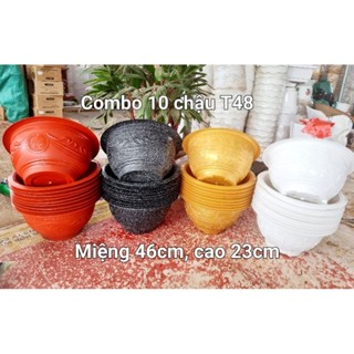 Combo 10 chậu T48 trồng sen súng, hoa cây cảnh kt  cả vành chậu 46x23cm