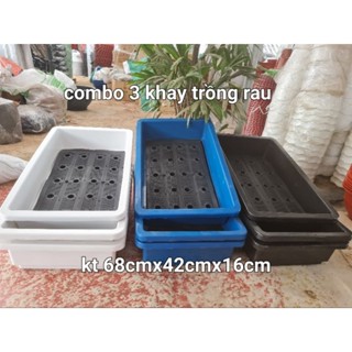 combo 3 khay trồng rau, chậu chữ nhật  thông minh kích thước dài 68x rộng 42x cao 16cm thích hợp trồng rau