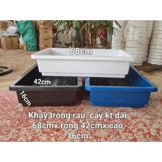 Khay Trồng Rau Sân Thượng - Khay Nuôi cá - Khay Trồng Thủy Canh- Kích thước 68x42x16cm