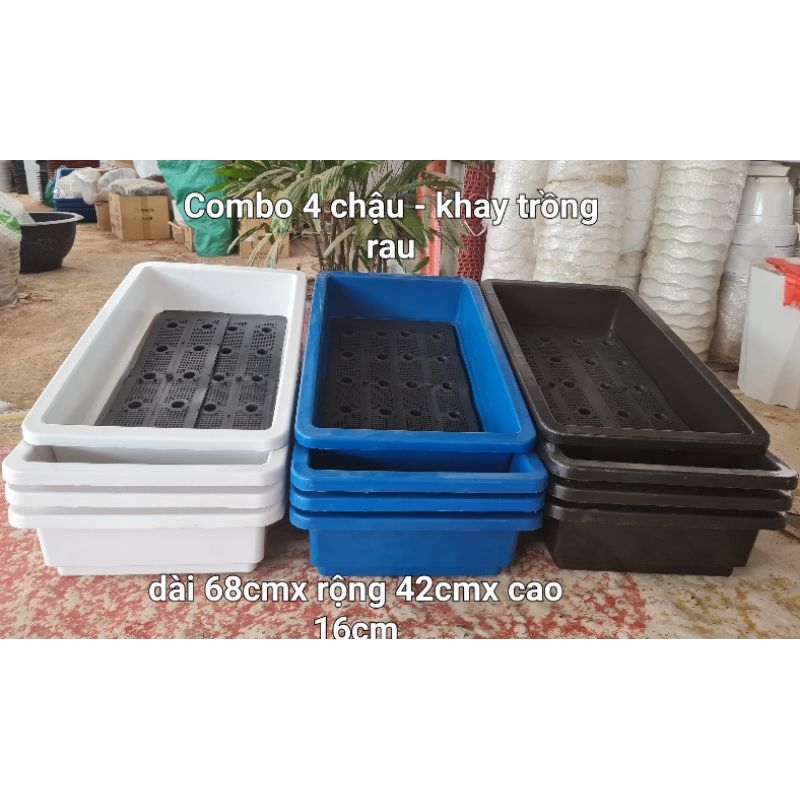 Combo 4 khay trồng rau ( chậu chữ nhật) thông minh kích thước 68x42x16cm