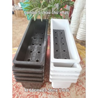 Com bo 5 Khay Trồng Rau Thông Minh - Chậu Nhựa Trồng Rau, Trồng Hoa kt-66.5x23.5x16cm