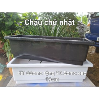 Khay Trồng Rau Thông Minh - Chậu Nhựa Trồng Rau, Trồng Hoa  Có Giá Sắt Treo -66x23.5x19cm