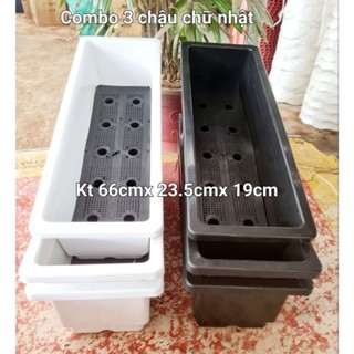 Combo 3 Chậu chữ nhật- khay trồng rau, hoa cây cảnh kích thước dài 66cmx 23.5x19cm