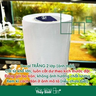 (Dưới 60cm) Tranh Decal Open Sky ADA, Decal Đen, Trắng | Decal Dán Hồ Cá | 8m2