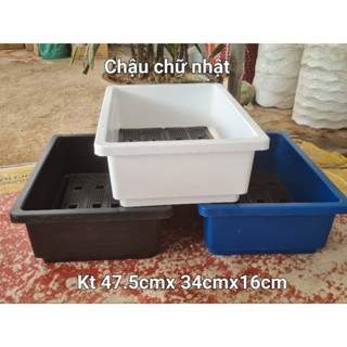 Combo 2, combo 3 Chậu chữ nhật _ Khay trồng rau bé kt 47.5x34x16cm