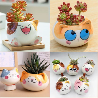 [Nhiều Mẫu] Chậu mèo động vật trồng sen đá mini, chậu trồng cây cảnh