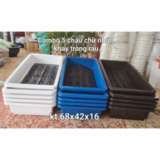 Combo 5  khay trồng rau ( chậu chữ nhật) thông minhkích thước 68X42X16CM