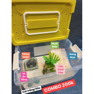 Hồ nuôi Ốc mượn hồn [ COMBO cho người mới chơi ]