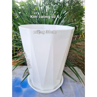 Chậu kim cương số 4 kích thước miệng 30cmx cao 40cm