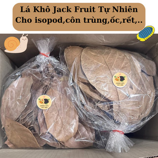 Lá khô Jack Fruit tự nhiên đã xử lý nuôi isopod,côn trùng,rết,ốc mượn hồn,an toàn khi sử dụng,cung cấp chất xơ tốt từ lá