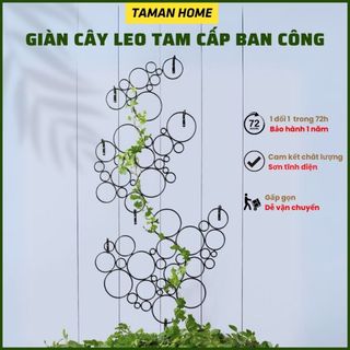 Giàn leo cho cây tam cấp hình tròn, khung cho cây leo, sắt sơn tĩnh điện, trang trí ban công, quán cafe