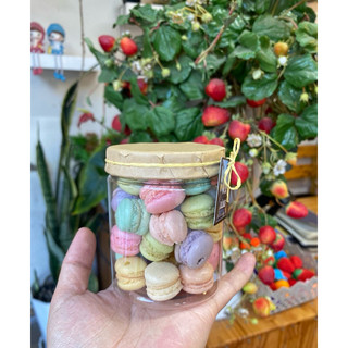 Bánh macaron mini - Nông sản Đà Lạt