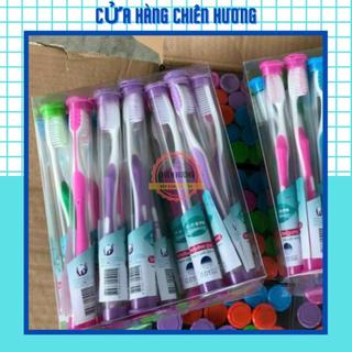 Bàn Chải Đánh Răng 302 Lông Mềm
