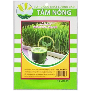 Hạt Giống Mầm Lúa Mạch, lúa mì 100G Tâm Nông