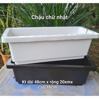 SỐC !!Chậu chữ nhật trồng rau, hoa Thông MinhKích thước: 48x20x16cm