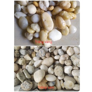 Sỏi thiện nhiên viên lớn(1-3cm) trang trí bể cá, chậu cây 1kg