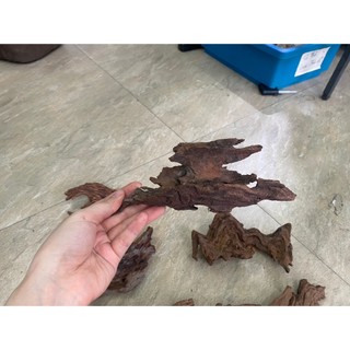 Lũa Bé Trang Trí Bể Cá - Bể Thủy Sinh