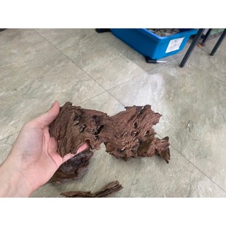 Lũa Bé Trang Trí Bể Cá - Bể Thủy Sinh