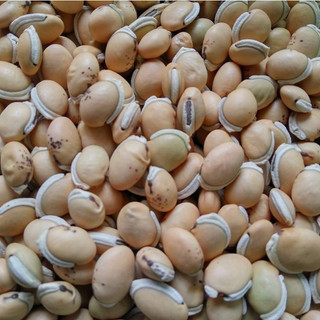 COMBO 2kg ĐẬU VÁN TRẮNG DÙNG NẤU CHÈ