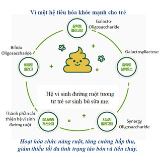 Sữa XO Hàn Quốc Số 4 800g (mẫu mới)