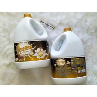 COMBO 2 giặt xả Fineline Thái Lan 3000ml