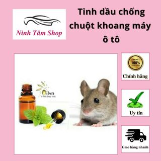 Tinh dầu chống chuột khoang máy ô tô