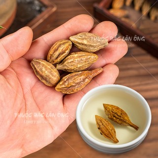 Quả kha tử khô 500g, trái kha tử, hạt to, dùng ngâm mật ong, nấu siro, ngậm ho, tiêu đờm - Lãn Ông