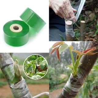 Băng ghép cây tự huỷ cuộn xanh 3cm dai dính co giãn tốt cố định vết ghép khít