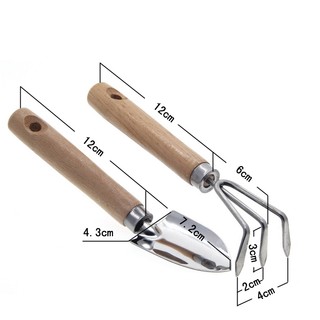 Bộ dụng cụ làm vườn mini cào bay