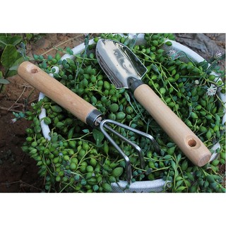 Bộ dụng cụ làm vườn mini cào bay