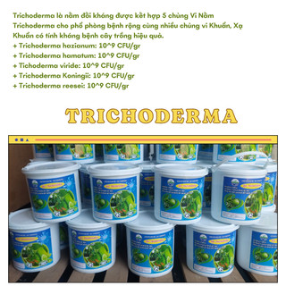 Nấm Trichoderma đối kháng, ủ phân, cải tạo đất xô 2kg