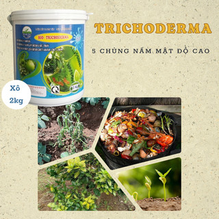 Nấm Trichoderma đối kháng, ủ phân, cải tạo đất xô 2kg