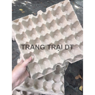 10 Vỉ giấy đựng trứng gà, khay trứng giấy-Hàng Mới Cứng dùng đựng trứng, trang trí, tô màu, nuôi dế,..