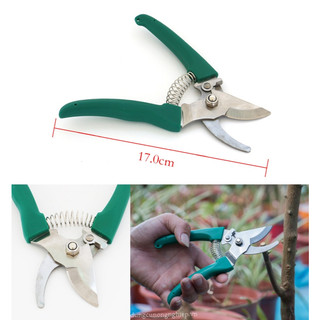 Hộp dụng cụ làm vườn lớn 10 món (xanh)