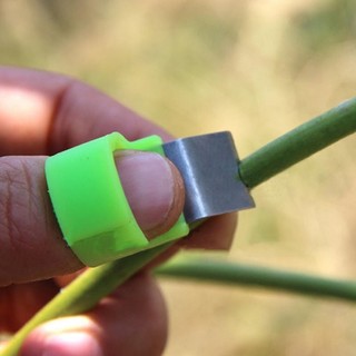 Nhẫn cắt trái cây, cà chua, dưa chuột, mướp, đọt rau