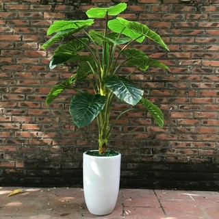 Cây giả - Cây Trầu Bà giả cảnh trang trí văn phòng,phòng khách siêu đẹp