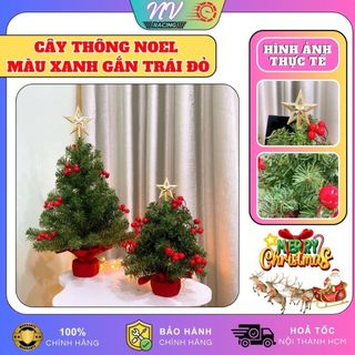 Cây thông noel mini để bàn xanh gắn trái đỏ có trang trí decor trang trí giáng sinh noel văn phòng