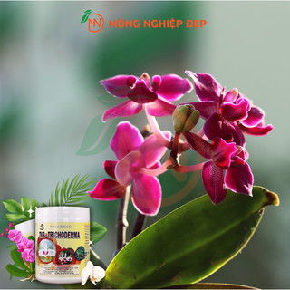 TRICHODERMA TKS Thủy Kim Sinh Hũ 1Kg – Ủ Phân Bón, Tăng Đề Kháng