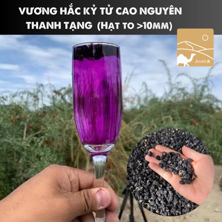 Trà hắc kỷ tử thanh tạng size vương hạt to 10mm hộp 100g - jiang
