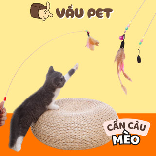 Cần Câu Mèo Dây Thép Đồ chơi cho mèo Vẩu Pet Shop