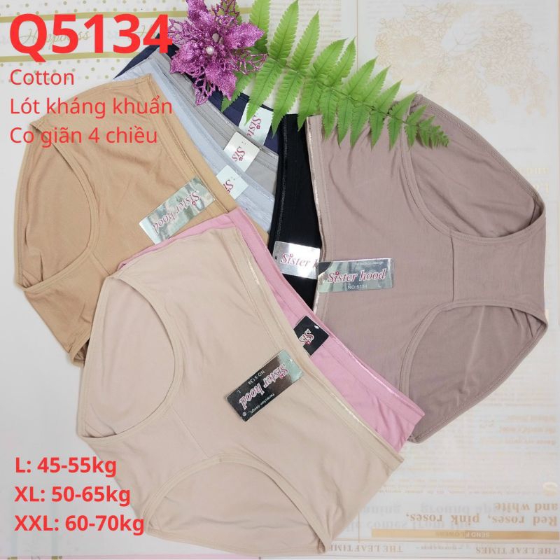 combo 5 quần chip cotton nữ Sister - Dzung