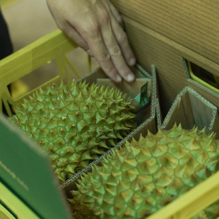 Sầu riêng ri6 - thùng 5kg - foodmap fruits