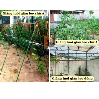 Lưới giàn leo theo kích thước khách đặt